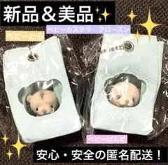 C-pla限定　ベビーくまカステラ　フローズン　2種セット　とら　ぱんだ