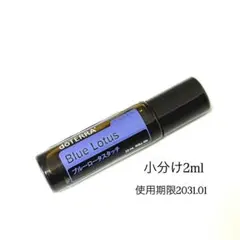 2026年最新】ブルーロータス ドテラの人気アイテム - メルカリ
