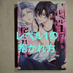 レベル1の抱かれ方