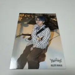 Mrs. GREEN APPLE Harmony 若井滉斗フォトカード033