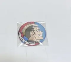 ハイキュー　山本猛虎