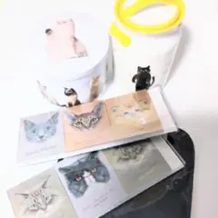 Cardi cat 시리즈 고양이 캔, 귀여운 캐니스터, 3D 메모장, 삼발이, 벙어리장갑