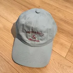 Item thumbnail for item 2852990b-1ac6-4e51-a3de-8e2efda13934