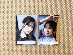 櫻坂46 向井純葉　ヨリ2種