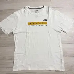 Item thumbnail for item e35c8fc4-c2cb-419b-afe2-5583ca4b3967