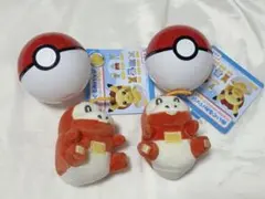 ポケモン ぬいぐるみバッジ ホゲータ 2体セット