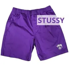 STUSSY ステューシー 30 BEACHSHORT ショート　ハーフパンツのサムネイル