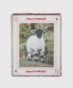 未使用品 Maison Straysheep メゾンストレイシープラグ 2026年最新】straysheepの人気アイテム - メルカリ