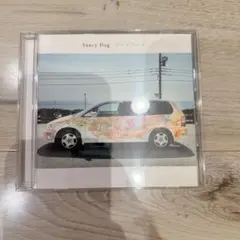 SaucyDog サラダデイズ