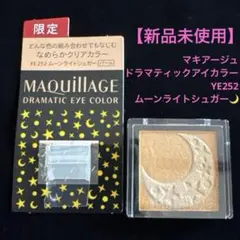 【新品未使用】マキアージュ ドラマティックアイカラー YE252のサムネイル