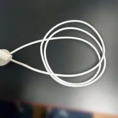 Apple Watch マグネット式充電器 USB-C