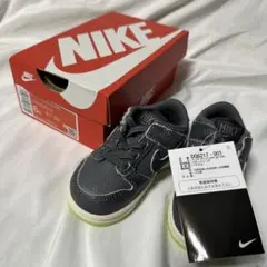 新品　キッズ　cm12 NIKE DUNK LOW SE DQ6217-001