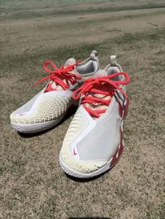 2026年最新】NIKE テニス シューズ(男性用)の人気アイテム - メルカリ
