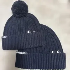 Item thumbnail for item 031f4f2a-3bdc-47b8-ae5f-964163abba50