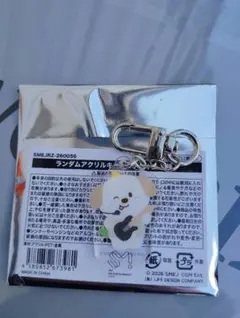 RIIZE 東京ドーム　ランダムアクリルキーホルダー　アントン