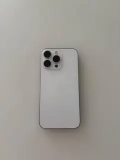 Apple iPhone 13 Pro シルバー 本体