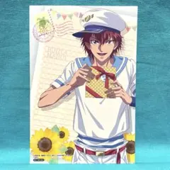 2026年最新】丸井ブン太 ブロマイドの人気アイテム - メルカリ