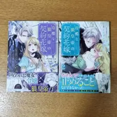 Item thumbnail for item ebd12676-0fdd-4d1b-bc71-19e6cac5569b