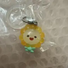 JOCHUM めじるしアクセサリー Bira ビラ