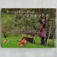 Item thumbnail for item 19c50e8d-9655-4ee3-81f8-2bf0f60c336f