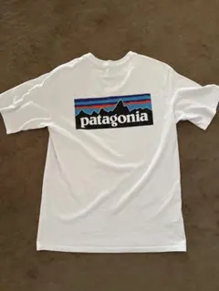 Patagonia Tシャツ XS ホワイト バックロゴ