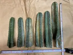 たんたん様 リクエスト 2点 まとめ商品