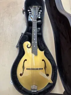 Item thumbnail for item 82512aa0-f007-4048-b555-399b8eb611bd