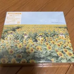 【美品】フィロソフィーのダンス サンフラワー 初回盤