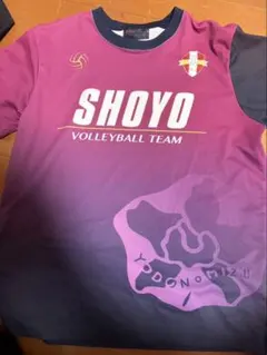 【最終お値下げ】2025 バレー男子日本代表 Tシャツ ユニフォーム 髙橋藍 L アシックス（ASICS）（メンズ、レディース）バレーボールウェア バレー