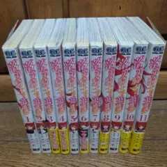 小説】落第騎士の英雄譚 零巻～19巻 全巻 計20冊 - メルカリ