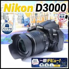 小型軽量 Nikon D3000 初心者セット バッグ付 旅行に最適 ニコン
