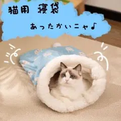 Item thumbnail for item 7dc4642d-7a42-45d3-8f44-b7a1575d6fca