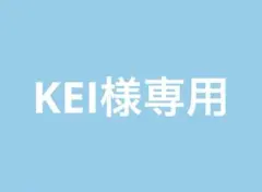 専用ページ YONEX短パン2点