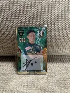 Item thumbnail for item 05d1f713-5e3c-4541-af77-19f41db0d786