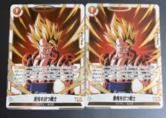ドラゴンボールフュージョンワールド　悪鬼を討つ戦士　FB09-96 2枚　SR