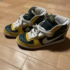 Item thumbnail for item d06fcb38-b969-4d47-a990-afbd9808e927