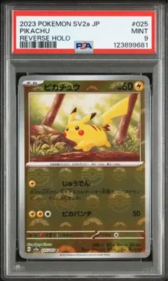 2026年最新】ピカチュウ マスターボール psa9の人気アイテム - メルカリ