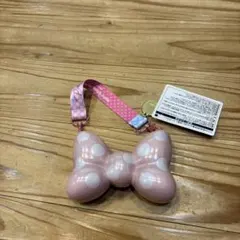 スーベニアスナックケース　リボン　ミニーのファンダーランド　パルパルーザ