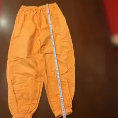 Item thumbnail for item 548aa689-1255-4179-aa2a-69ce7f006b4b