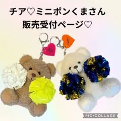 チア♡ミニポンくまさん