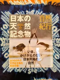 Item thumbnail for item 286f2173-6598-4a35-b46c-6a2b8adb4850