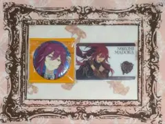 あんさんぶるスターズ スタライ 缶バッジ 特典カード 望見