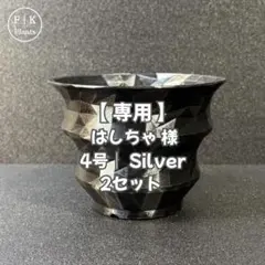 【専用】はしちゃ様 ｜4号（Silver）2set / 4号（Gold）2set