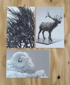 2025年最新】名和晃平の人気アイテム - メルカリ