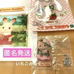 シルバニアファミリー アクリルキーチェーン　いちご　シマネコ