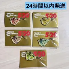 【匿名】第2弾 全色 まとめ売り セット 5×20 嵐 会場限定チャーム