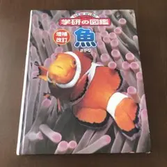 Item thumbnail for item 8a47fa1e-a968-43ed-824b-d615066a3bc9