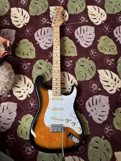 11602】Bacchus 帯ロゴ 旧ロゴ ストラトキャスター タイプ - メルカリ
