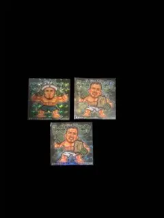 RIZIN・ラジャブアリ·シェイドゥラエフ・クレベルコイケ