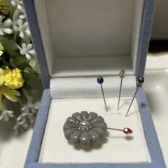 Item thumbnail for item 094dd3c1-87dc-4b7e-a2bd-e65a801de8e6